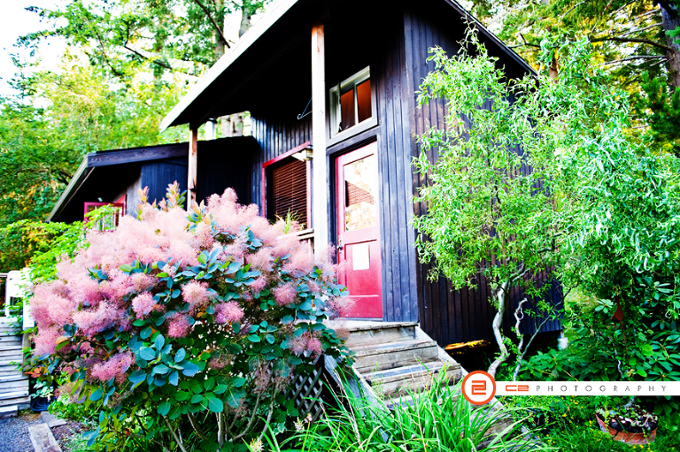 Cabin in the San Juans