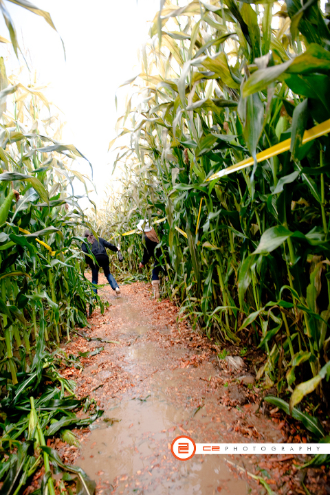 Carpinito Bros. Pumpkin Patch & Corn Maze 